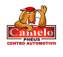 Camelo Pneus - Foto 1
