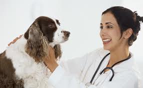 Clínica Veterinária Santa Inez Dr Keka - Foto 1