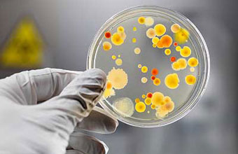 Dra. Maria Eliza Jacob Souza - Foto 1