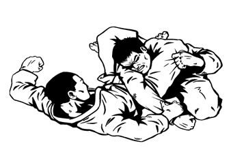 Paul Davison Jiu Jitsu - Foto 1