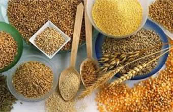 Tinoca Produtos Naturais - Foto 1