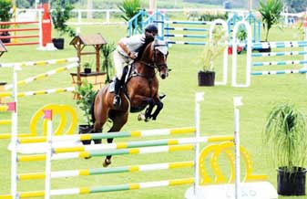 Haras Califórnia - Foto 1