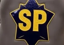 destaques policiais interior de SP