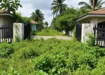mato alto e abandono na entrada de Mococa