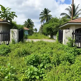 mato alto e abandono na entrada de Mococa