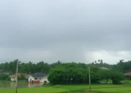 Últimas noticias de Mococa