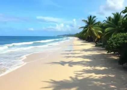 Últimas noticias de Mococa