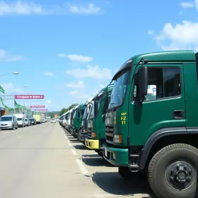 leilão do Detran-SP