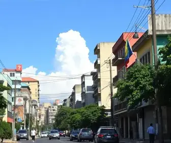 apuração em Mococa